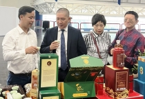 Nâng chất lượng sâm Nam, hướng tới xuất khẩu