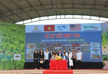 Hội nghị Kết nối, xúc tiến tiêu thụ sản phẩm sâm Nam núi Dành