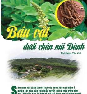 Hình ảnh album