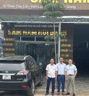 Hình ảnh album
