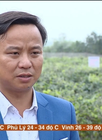 Hình ảnh album