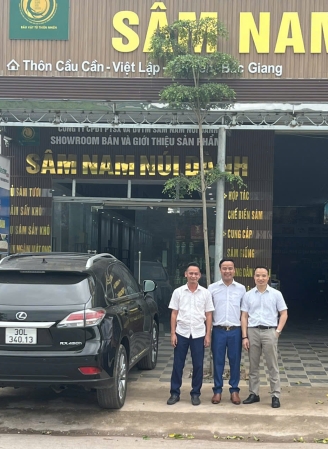 Hình ảnh album
