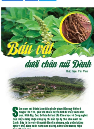 Hình ảnh album