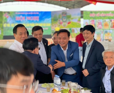 Hình ảnh album