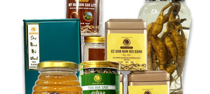 Sâm Nam Núi Dành, báu vật của vùng đất Bắc Giang
