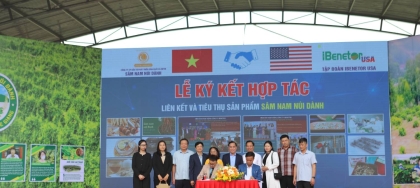 Hội nghị Kết nối, xúc tiến tiêu thụ sản phẩm sâm Nam núi Dành