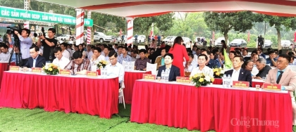 Tân Yên (Bắc Giang): Xúc tiến tiêu thụ sản phẩm sâm Nam núi Dành