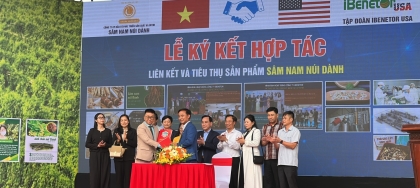 Bắc Giang: Sâm Nam núi Dành được phân phối độc quyền tại thị trường Hoa Kỳ