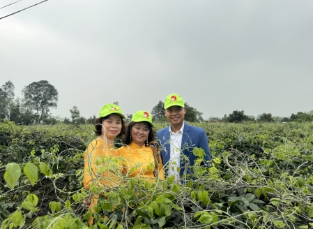 Hình ảnh