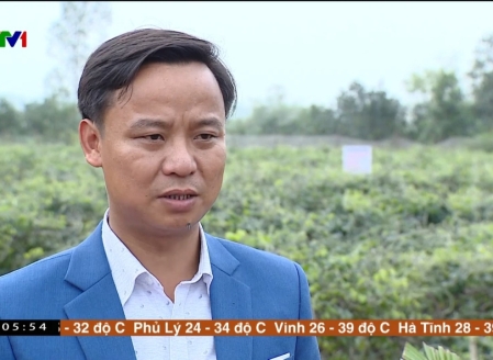 Hình ảnh