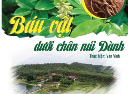 Hình ảnh