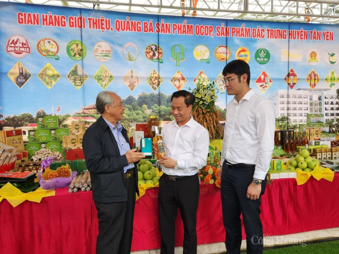Sâm Nam núi Dành có hàm lượng saponin cao tương đương với sâm Hàn Quốc