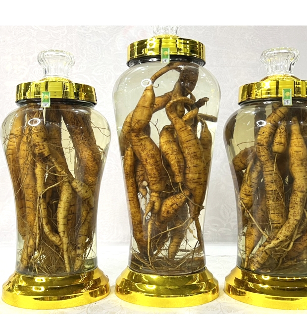 Rượu Sâm Nam Tiến Vua