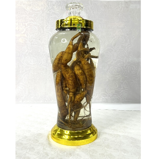 Rượu Sâm Nam Tiến Vua